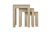 Bhava: Mango Wood Nested Side Tables (Set of 3)