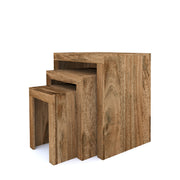 Amisha: Nested Tables