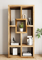 Amisha: Display Unit