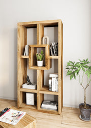 Amisha: Display Unit