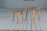 Shakti: Mango Wood Nest of Two Tables